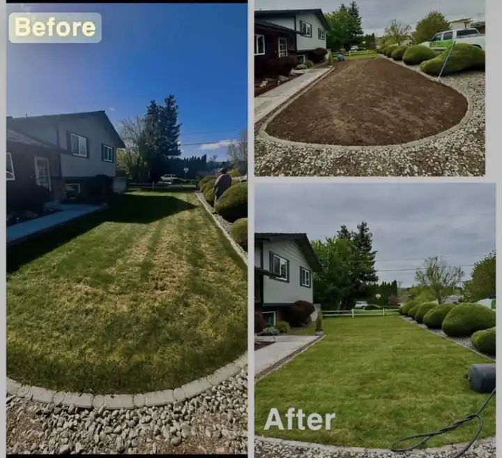 A shaped front bed with a crisp lawn line