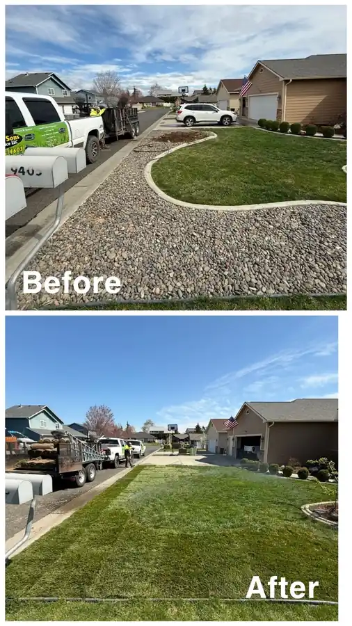 Before and after of a gravel front yard laid in sod, with Abel's & Sons trucks at the curb