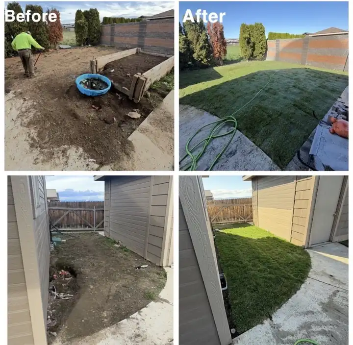 Four-up before and after of dirt side yards turned into green sod lawns