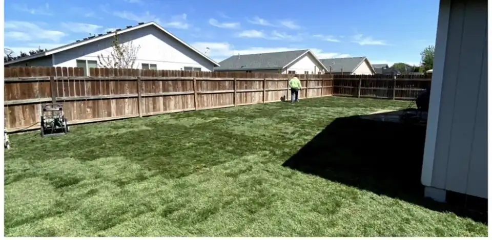 The same Yakima backyard after Abel's & Sons laid fresh sod